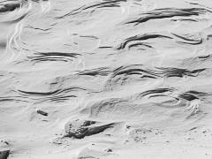 Schneebild XV