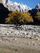 Pakistan, Karakorum, near Hushe