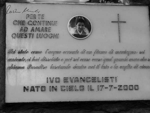 Bergtod IX | Ivo Evancilesti