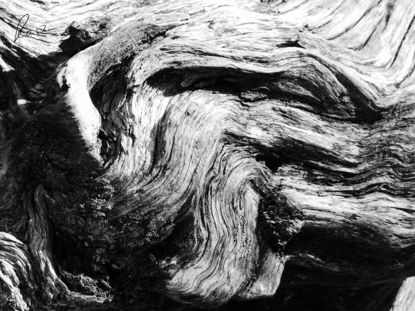 Windwerk 16