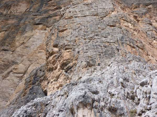 Tofana di Roszes, Dritte-Kante-Führe, facing 10th pitch