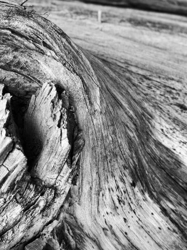 Wind-Werk 16
